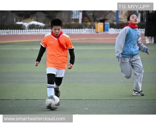 低弹球足球的魅力与技巧探索让我们一起体验全新运动乐趣