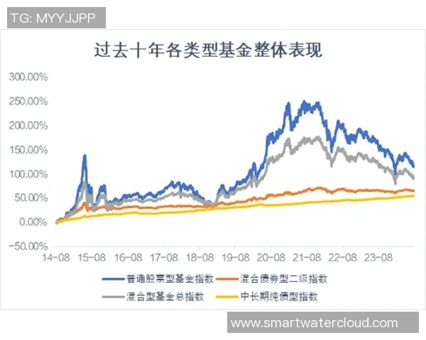 深圳极限运动队战术解析与实践探索专题分析