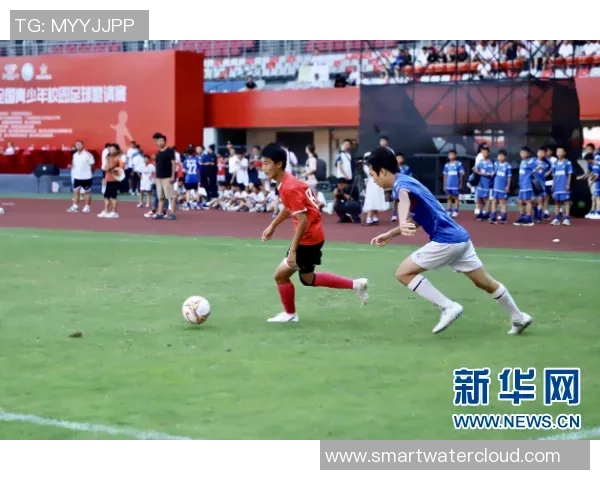 校园足球治理的现状与挑战：推动青少年足球发展的有效策略与建议