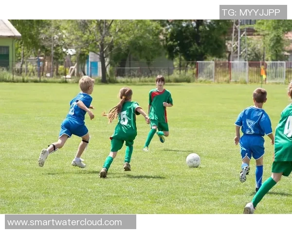 足球小偷队的传奇冒险：在绿茵场上追逐梦想与友情的故事
